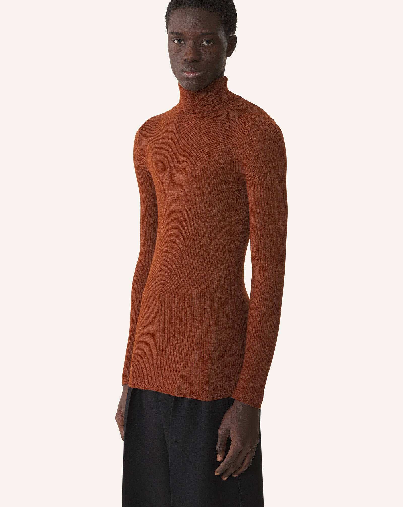 PULL COL ROULÉ EN MÉRINOS ET SOIE