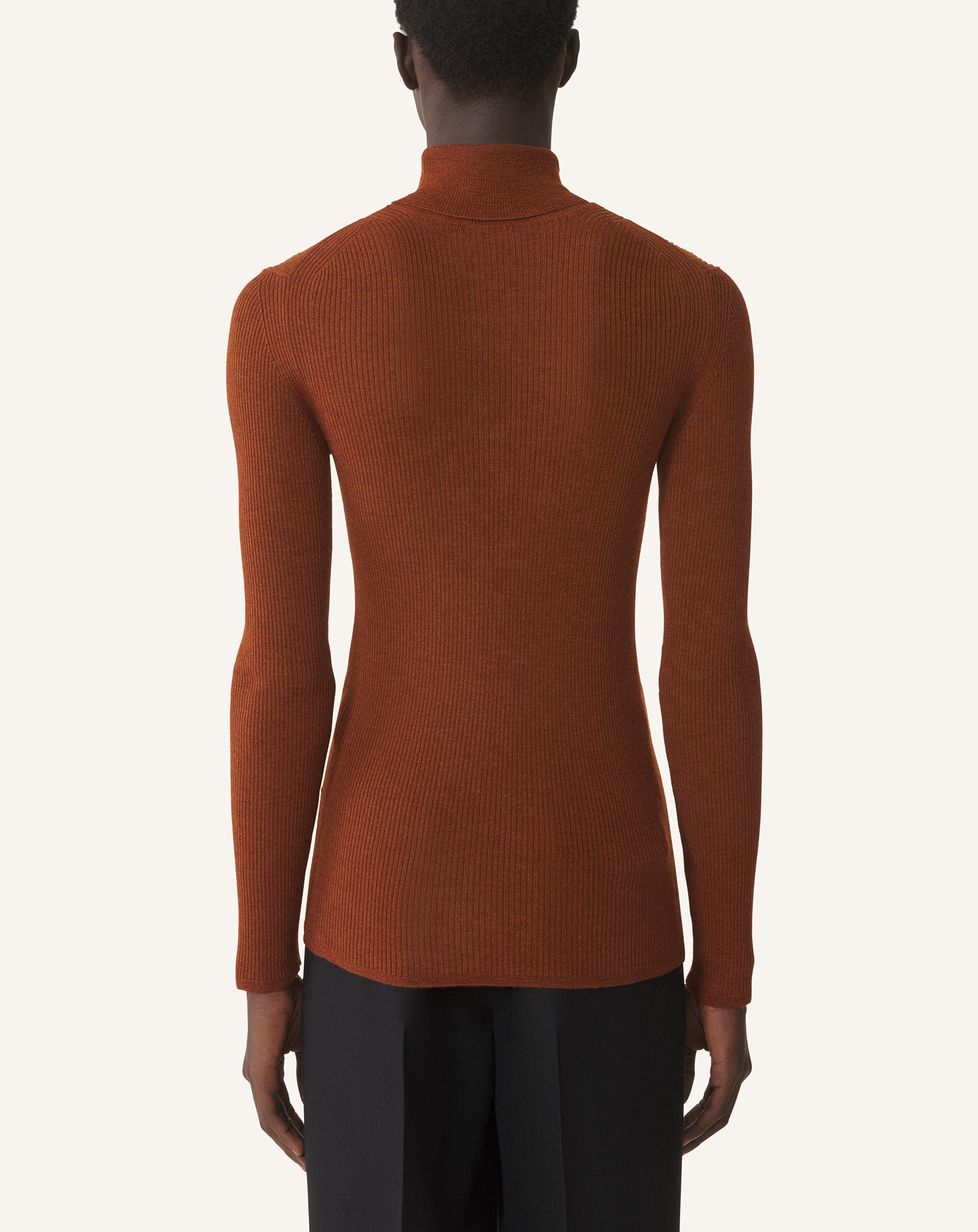 PULL COL ROULÉ EN MÉRINOS ET SOIE