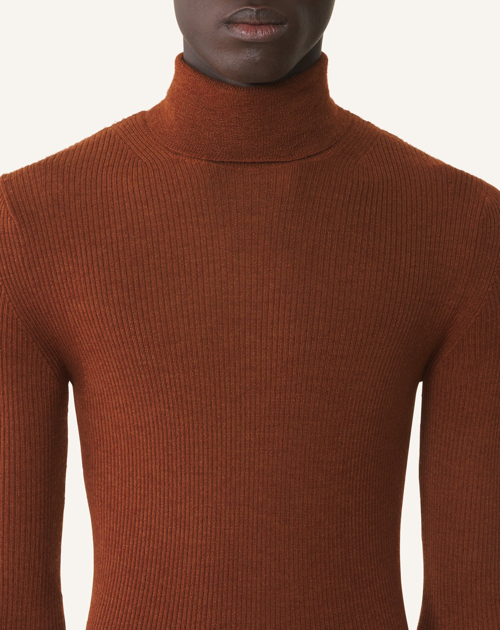 PULL COL ROULÉ EN MÉRINOS ET SOIE