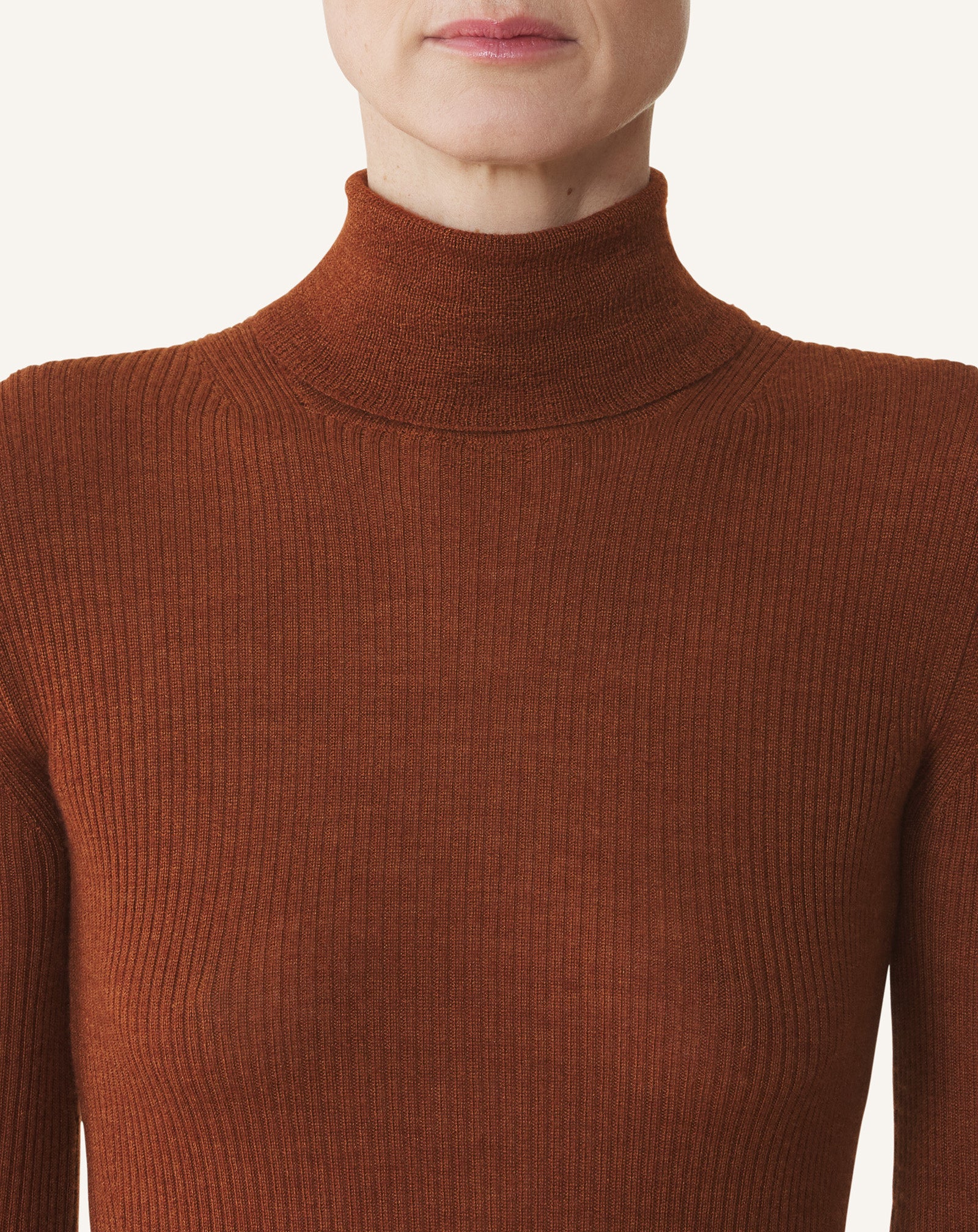 PULL À COL ROULÉ EN MÉRINOS ET SOIE